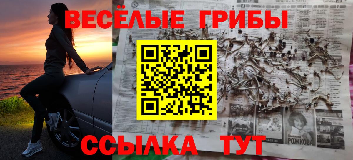 Галлюциногенные грибы мухоморы Приморско-Ахтарск