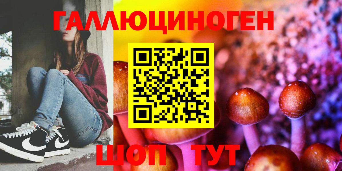 Псилоцибиновые грибы Cubensis  Галлюциногенные грибы MAGIC MUSHROOMS  Приморско-Ахтарск  купить наркотики цена  Вход с VPN 